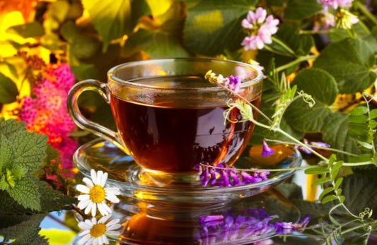 Wellness in a Cup: The Immune-Boosting Wonders of Herbal Tea